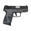 Pistola Taurus G2c Colors - Gray 001